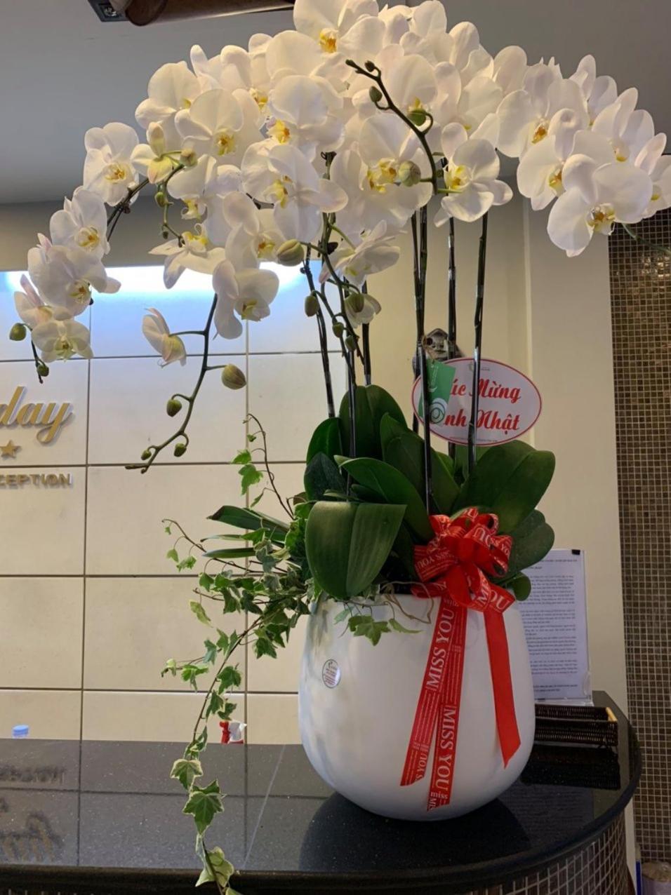 האי פונג Holiday Hotel מראה חיצוני תמונה